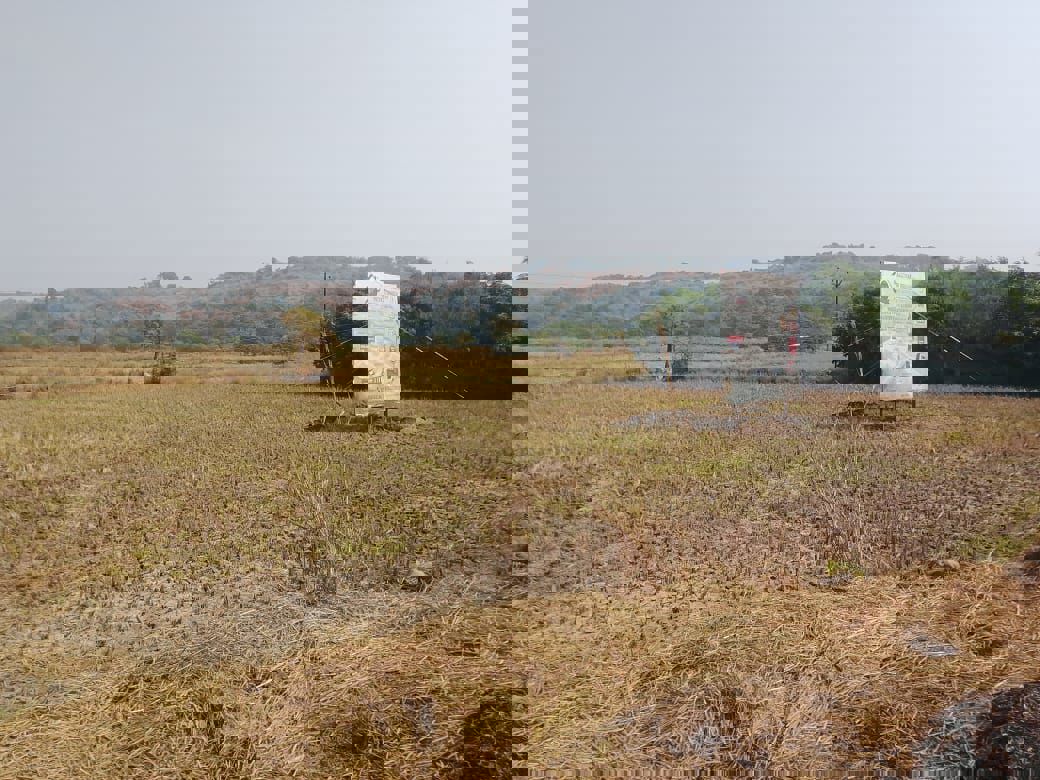 Land For Sale in Vindhane