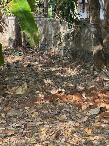 Plot Area in  Plot at Viyyur – for Sale