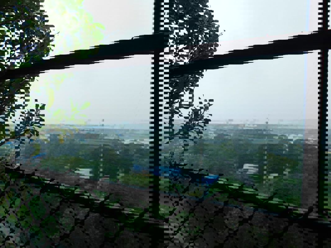 1 BHK 360 Sq.Ft. Apartment in 9 North