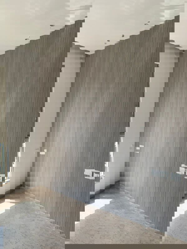 2 BHK Apartment For Rent in Castle Rock