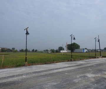 Plot Area in  Plot at Jattari – for Sale