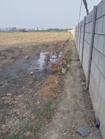 Plot Area in  Plot at Sector 150 – for Sale