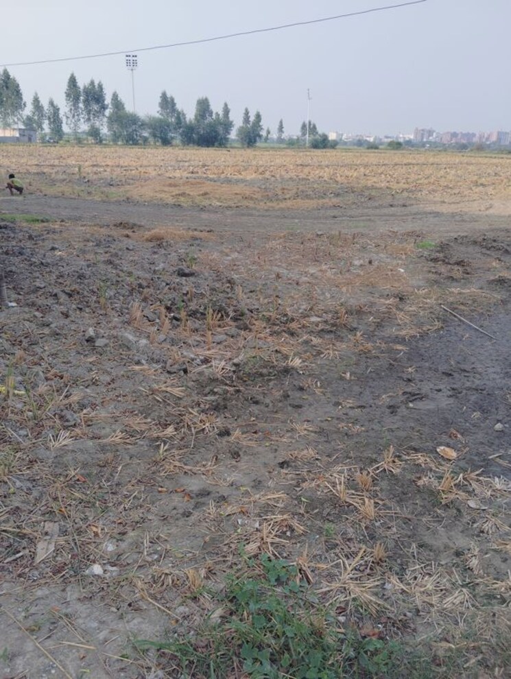 undefined, sector 150  900 Sq.Ft. Plot In Sector 150 Noida 9797405