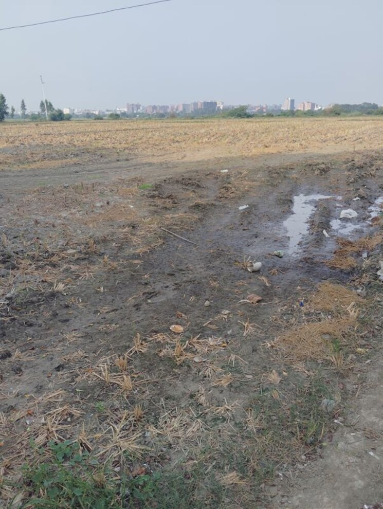 undefined, sector 150  900 Sq.Ft. Plot In Sector 150 Noida 9797405