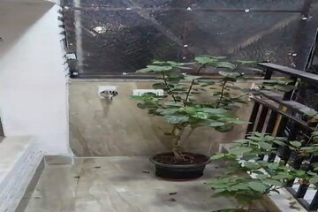 Parking in 2 BHK Apartment at Khirki Extension – for Sale