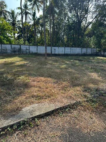 Plot Area in  Plot at Kuttoor – for Sale
