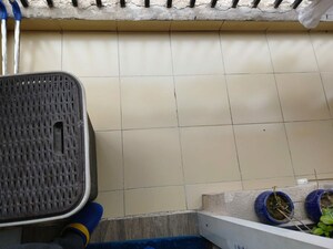 Bathroom in 2 BHK Apartment at Gaur City 5th Avenue, Sector 4 Greater Noida – for Rent