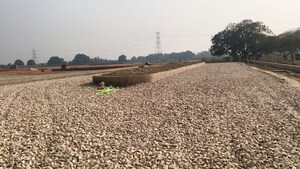 Plot Area in  Plot at Mohanlalganj – for Sale