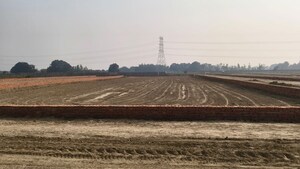 Plot Area in  Plot at Mohanlalganj – for Sale