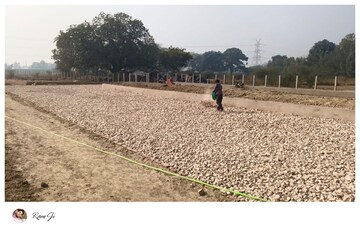 Plot Area in  Plot at Mohanlalganj – for Sale