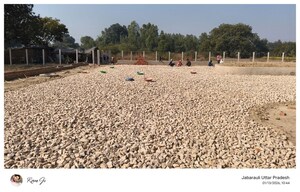 Plot Area in  Plot at Mohanlalganj – for Sale