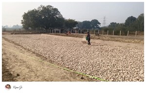 Plot Area in  Plot at Mohanlalganj – for Sale