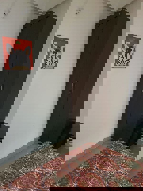 2.5 BHK + Study Room 1030 Sq.Ft. Apartment in Emaar Emerald Estate