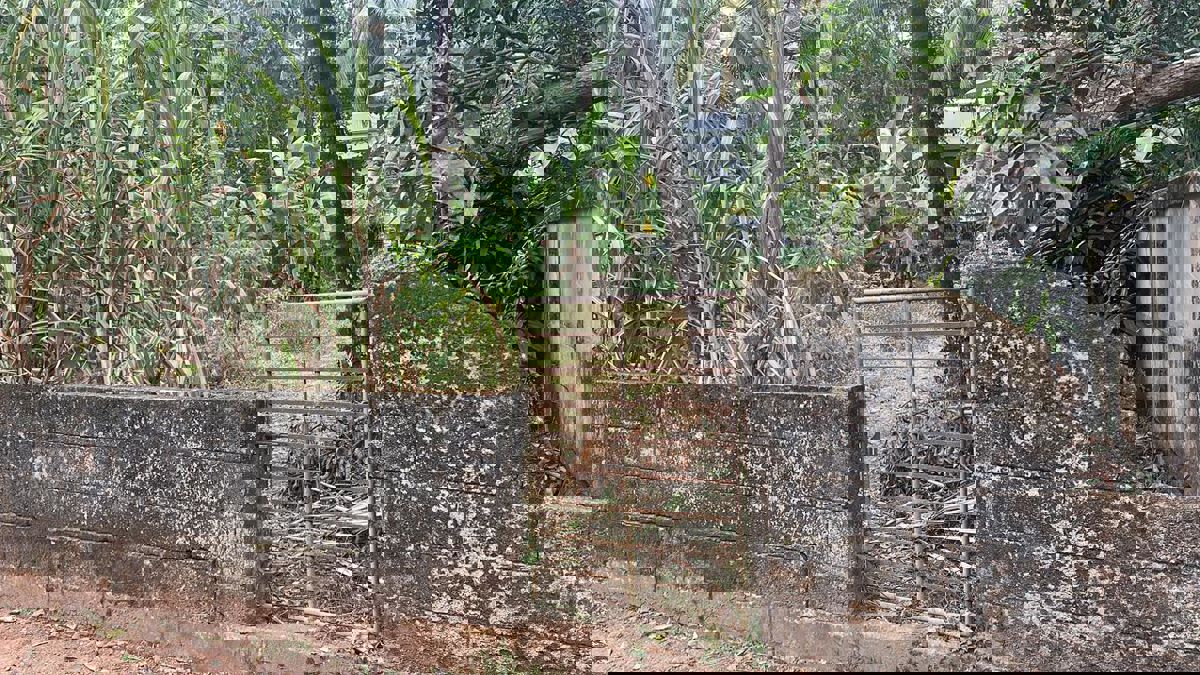 Plot For Sale in Viyyur