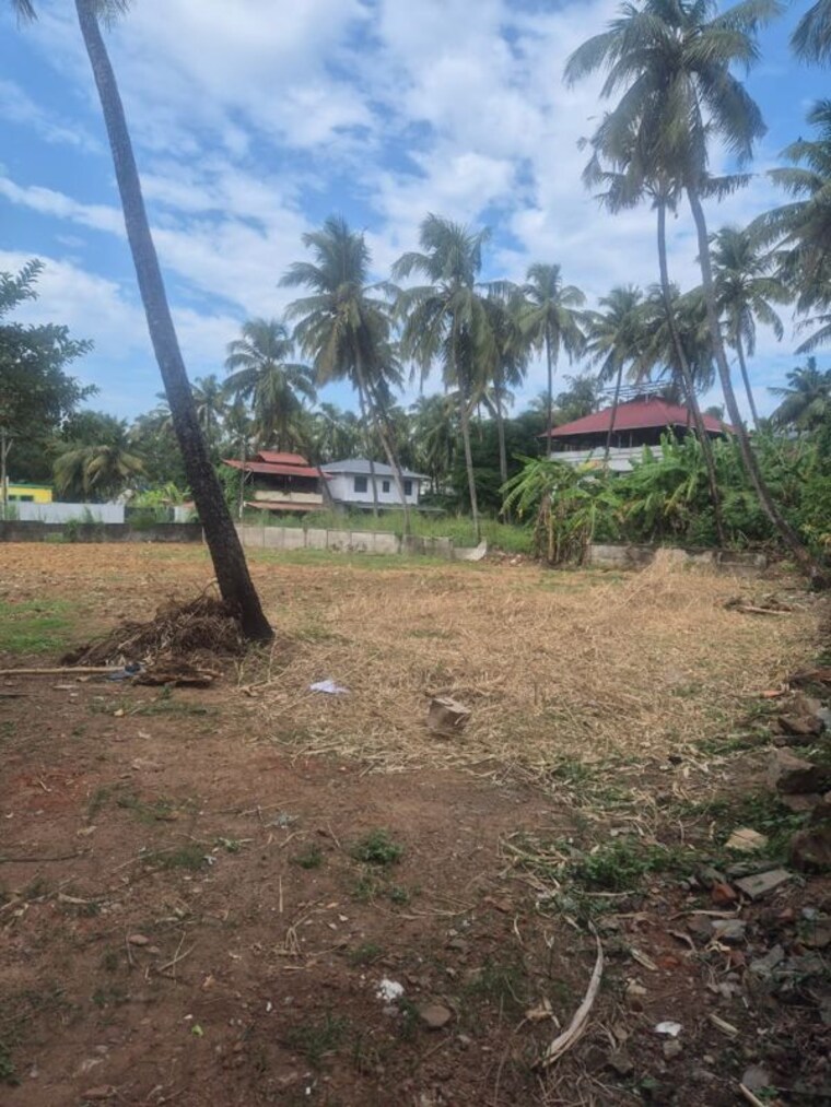 undefined, west fort  3052 Sq.Ft. Plot In West Fort Thrissur 9799372