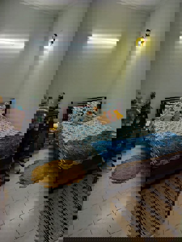 1 BHK Apartment For Rent in Ardee City