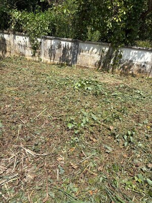 Plot Area in  Plot at Velappaya – for Sale