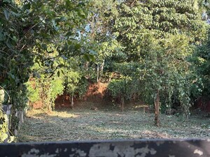 Plot Area in  Plot at Velappaya – for Sale