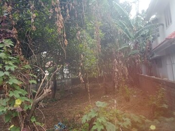 Plot Area in  Plot at Kuriachira – for Sale