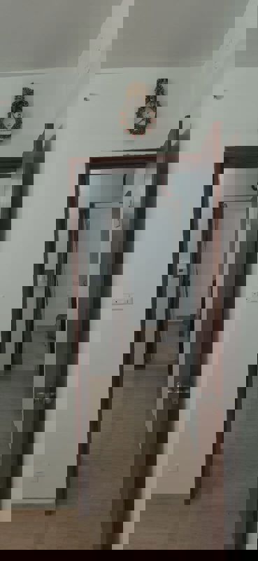 1 BHK Apartment For Rent in VTP Belair