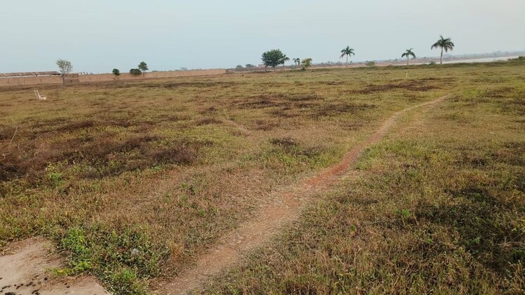 undefined, sejbahar  2400 Sq.Ft. Plot In Sejbahar Raipur 9799519