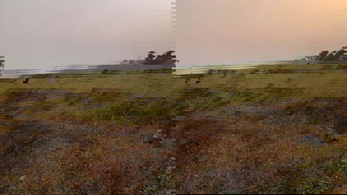 Plot For Sale in Sejbahar