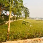 1306 Sq.Ft. Plot in Soha Neal City