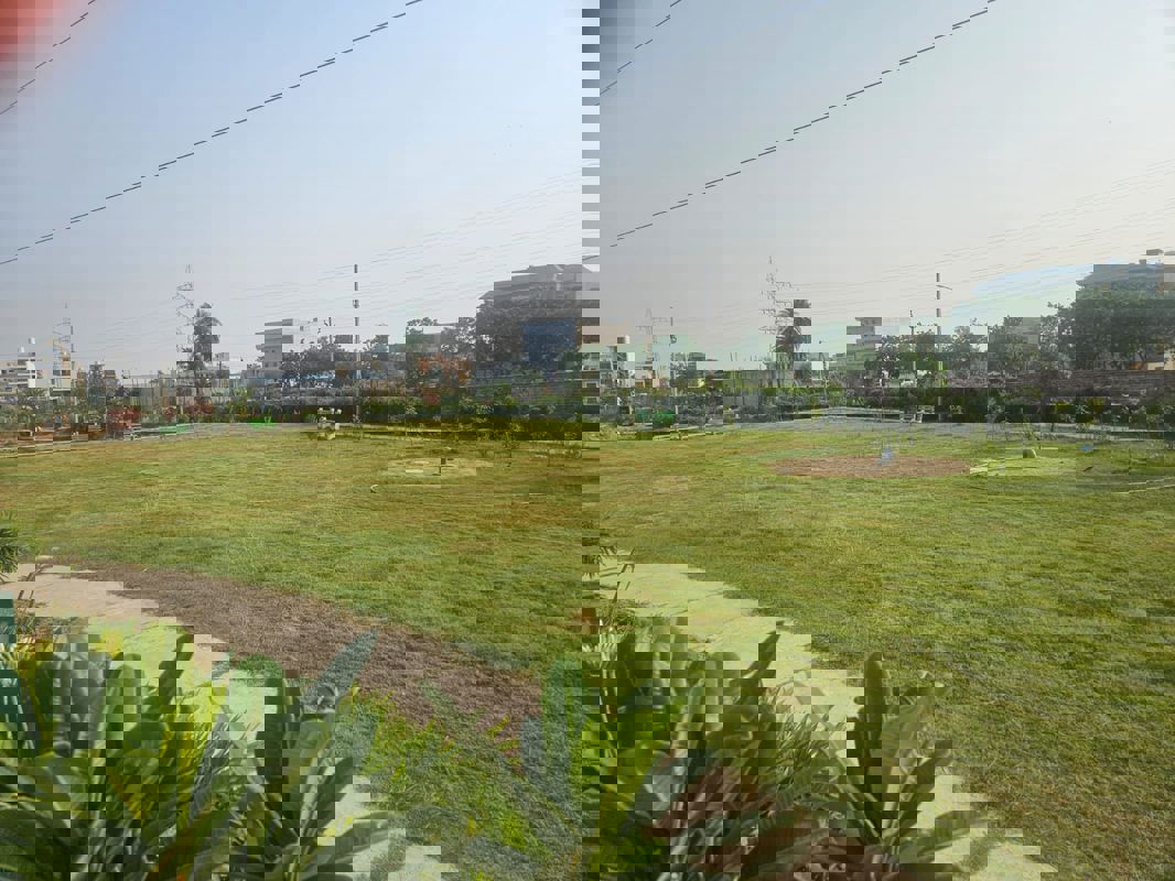 Plot For Sale in Sector 114