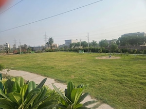  Plot For Sale in Sector 114