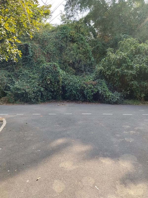 Plot For Sale in Banashankari 6th Stage