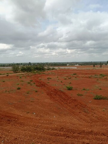 Plot Area in  Land at Kolar Road – for Sale