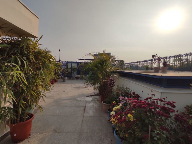 Exterior View, panchsheel park 4 Bedroom 500 Sq.Yd. Builder Floor In Panchsheel Park Delhi 9800583