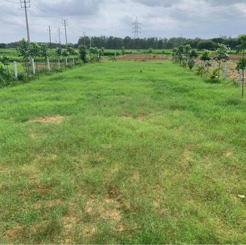  Land For Sale in TPL 228, Sadashiva Nagar