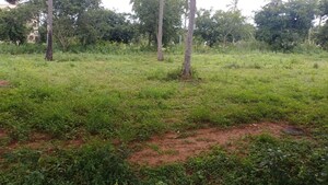  Plot For Sale in Nitesh Broadway, Mg Road