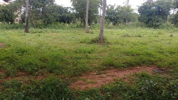  Plot For Sale in Nitesh Broadway, Mg Road
