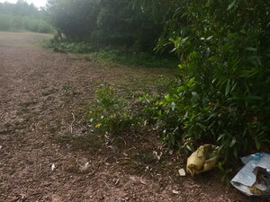 Plot Area in  Plot at Nitesh Broadway, Mg Road – for Sale