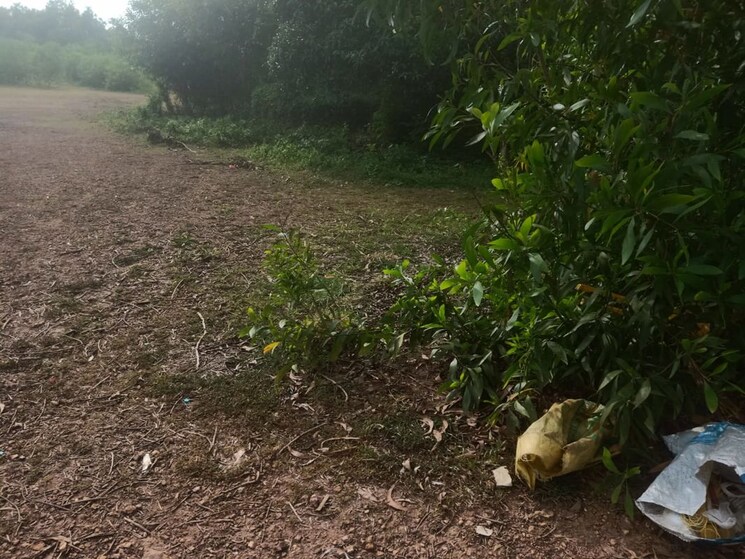 undefined, nitesh-broadway  56000 Sq.Ft. Plot In Mg Road Bangalore 9263979