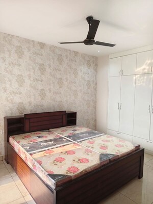 1 RK Builder Floor For Rent in Sector 115