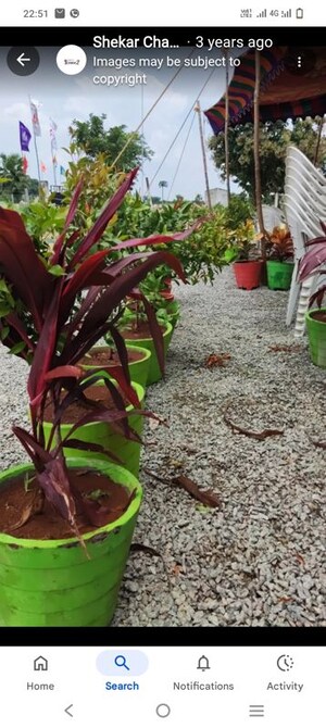  Plot – Exterior View View at Shadnagar - for Sale