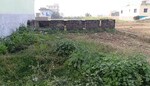 2000 Sq.Yd. Plot in Phulwari Sharif