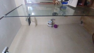 Room in 3 BHK Apartment at Gail Apartments, Sector 62 – for Sale