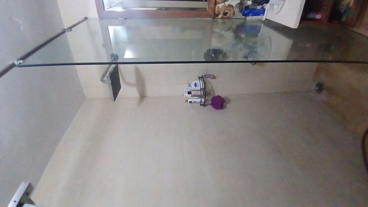 Room, gail-apartments 3 Bedroom 1650 Sq.Ft. Apartment In Sector 62 Noida 9801258