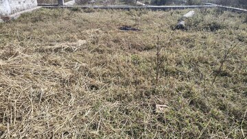 Plot Area in  Plot at Aiims Road – for Sale