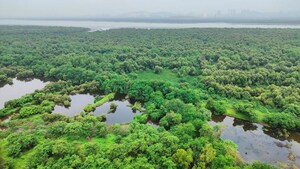 3 BHK Apartment – Garden View at Shanti Green Palms, Ghansoli - for Sale