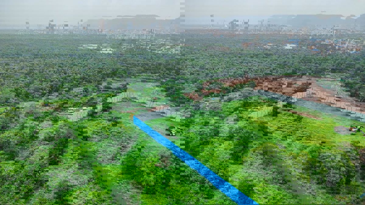 3 BHK Apartment For Sale in Shanti Green Palms