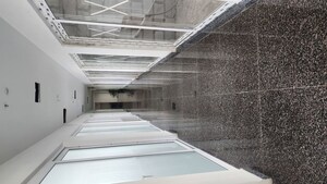  Office Space For Rent in S S Omnia, Sector 86