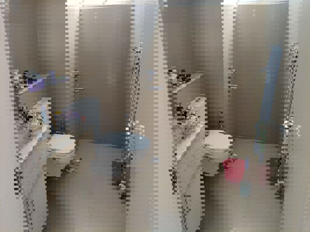 3 BHK + Servant Room,Study Room Apartment For Rent in Emaar The Palm Drive-Palm Studios