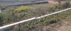 Plot Area in  Plot at Ramnagar Karjaha – for Sale