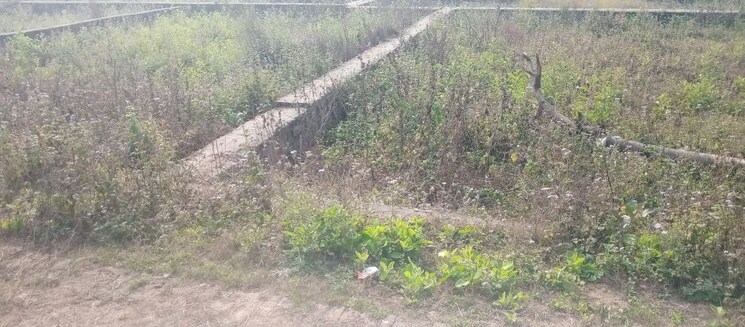 undefined, ramnagar karjaha  1600 Sq.Ft. Plot In Ramnagar Karjaha Gorakhpur 9801719