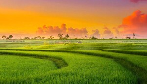  Plot For Sale in Jaypee Sports City, Jaypee Greens Sports City